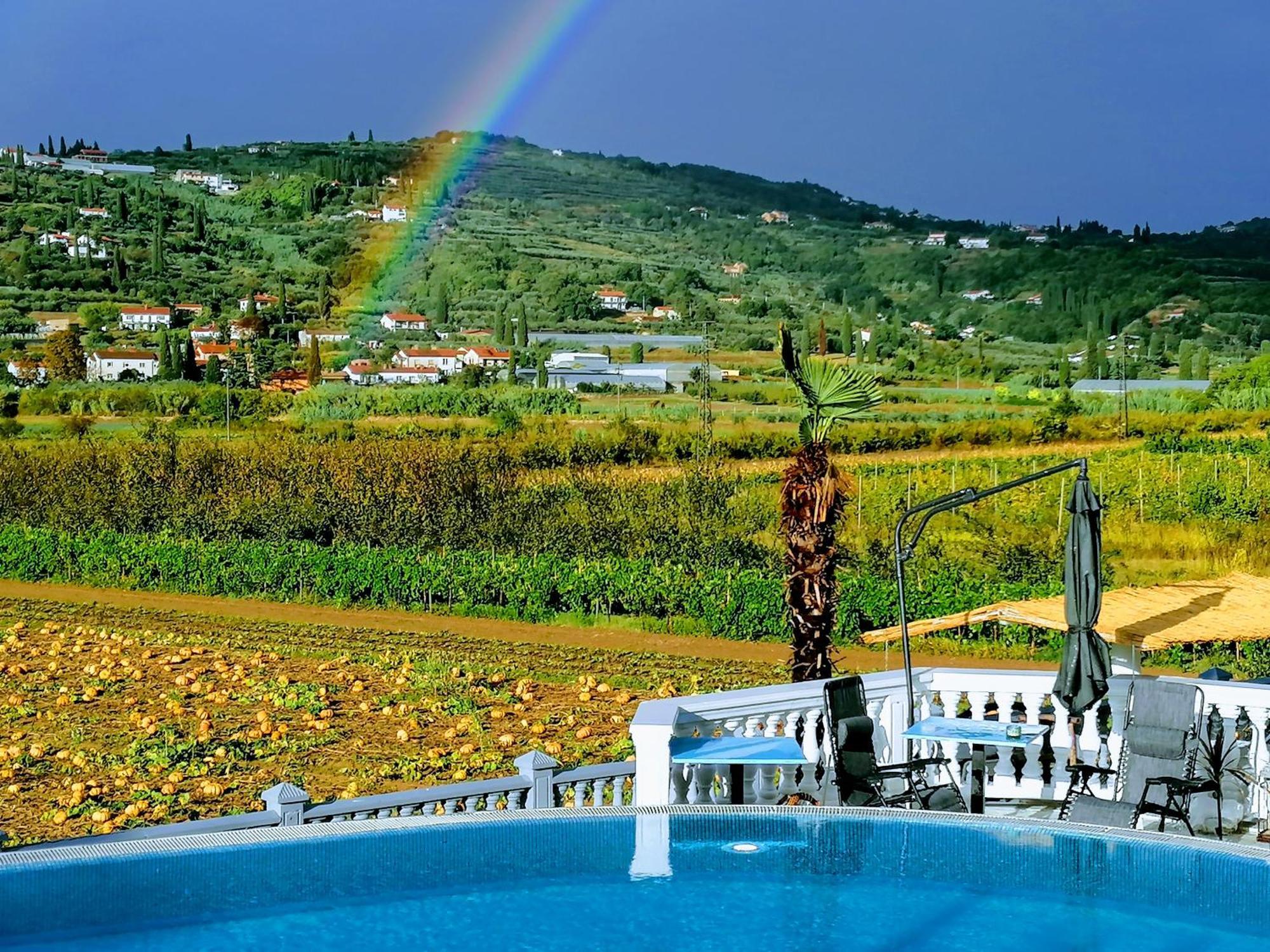 Guesthouse Sole Secovlje Bagian luar foto